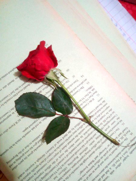 Beautiful Nature image