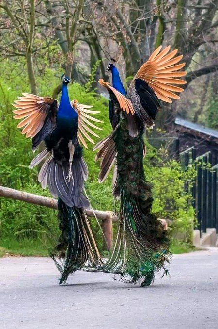 Beautiful Nature image