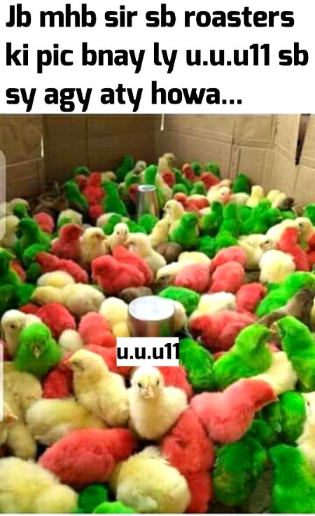 Damadam Roasting image
