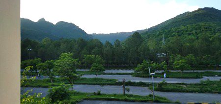 Beautiful Nature image