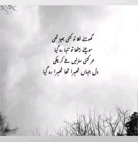 سوچتا ہوں جب لٹکتی ہے لاش پنکھے سے
بے بسی تو بیٹھ کے ہنستی ہو گی