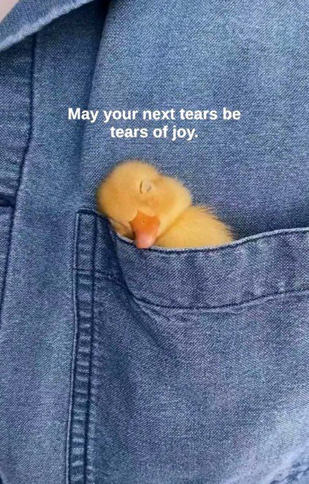 Motivational Quotes image