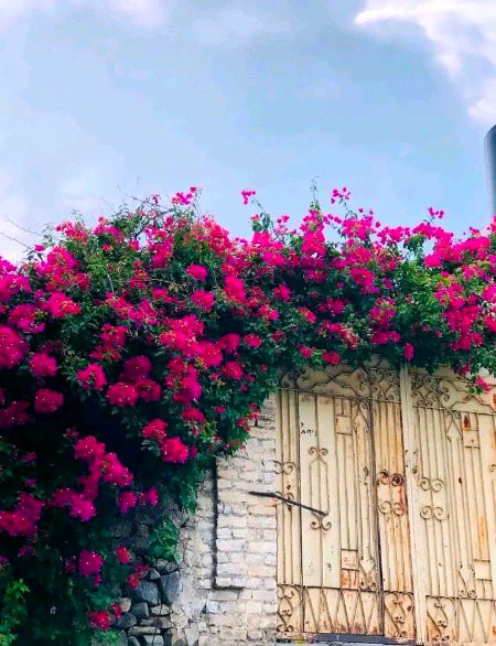 Beautiful Nature image