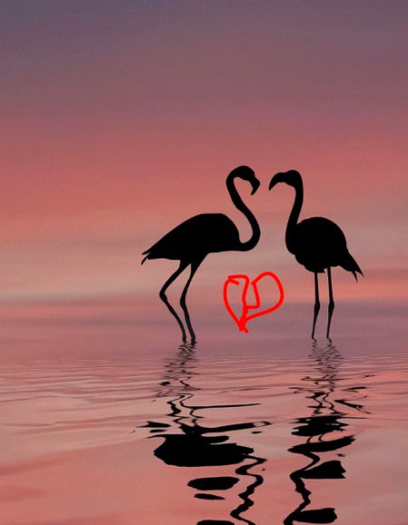 Beautiful Nature image