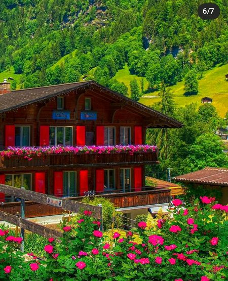 Beautiful Nature image