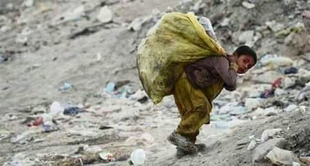 شاید زندگی ہمیں اپنے گھر بُلا کر مہمان نوازی کرنا بھول گئی۔
امرتا پریتم