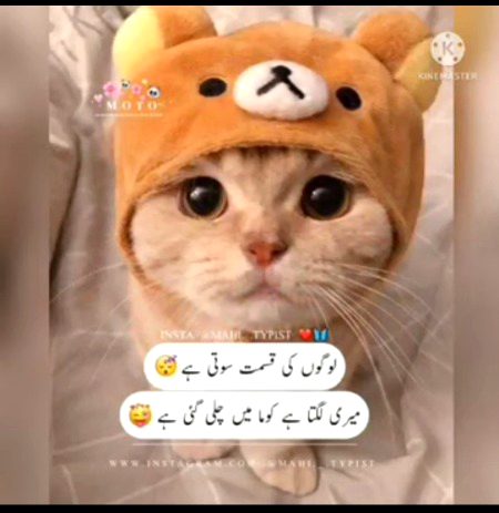 Ap ki kaisi ha ☺☺