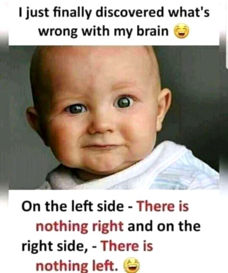 Memes & Satire image