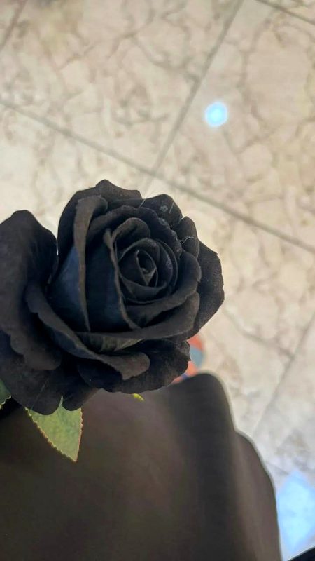 Take care 🙂🙂🪄🪄