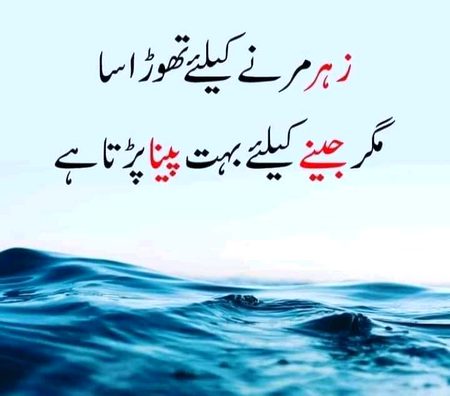 Hhmm🖤✌