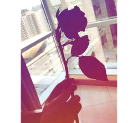 I Am noT eVen a peRson anyMore.I'm just stress and Sadness💔