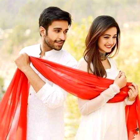Pakistani Celebs image