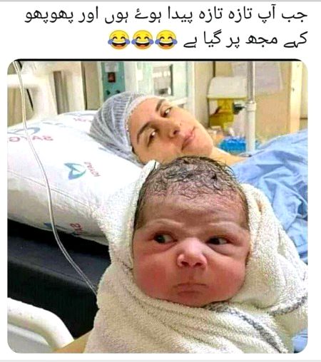 Memes & Satire image