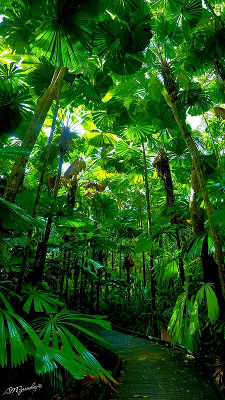 Beautiful Nature image