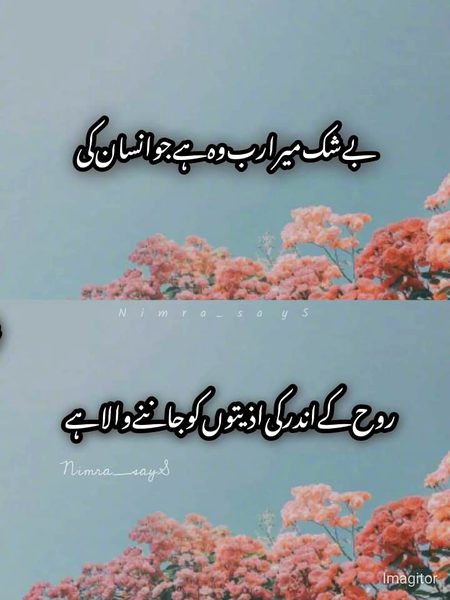 Islamic Quotes image