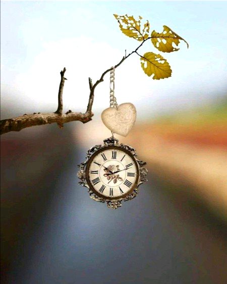 کچھ لمحے بڑے فیصلہ کن ہوتے ہیں۔ اس وقت یہ طے ہوتا ہے کہ کون کس شخص کا سہارا بنایا جائے گا۔ جس طرح کسی خاص درجہ حرارت پر پہنچ کر ٹھوس مائع اور گیس میں بدل جاتا ہے۔ اسی طرح کوئی خاص گھڑی بڑی نتیجہ خیز ثابت ہوتی ہے، اس وقت ایک قلب کی سوئیاں کسی دوسرے قلب کے تابع کر دی جاتی ہیں۔ پھر جو وقت پہلے قلب میں رہتا ہے وہی وقت دوسرے قلب کی گھڑی بتاتی ہے، جو موسم، جو رُت، جو پہلے دن میں طلوع ہوتا ہے وہی دوسرے آئینے منعکس ہو جاتا ہے۔ دوسرے قلب کی اپنی زندگی ساکت ہو جاتی ہے۔ اس کے بعد اس میں صرف بازگشت کی آواز آتی ہے۔
❤️ ❤️