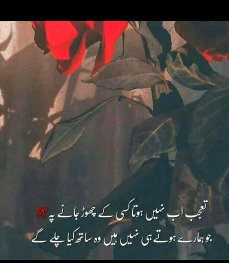 Wo sath kya chale gy....