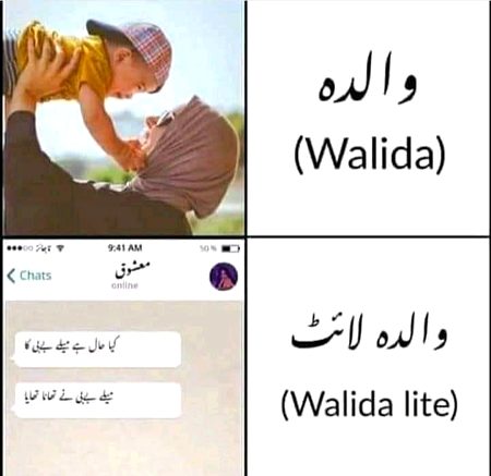 Memes & Satire image