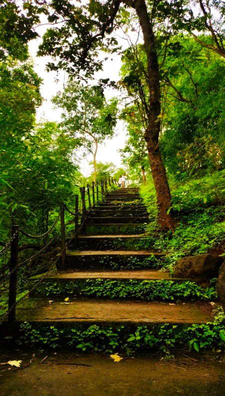 Beautiful Nature image