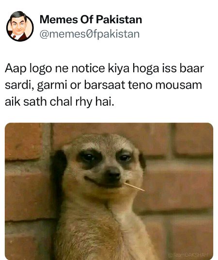 Azil sharing