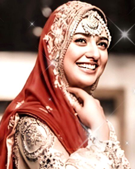 Pakistani Celebs image