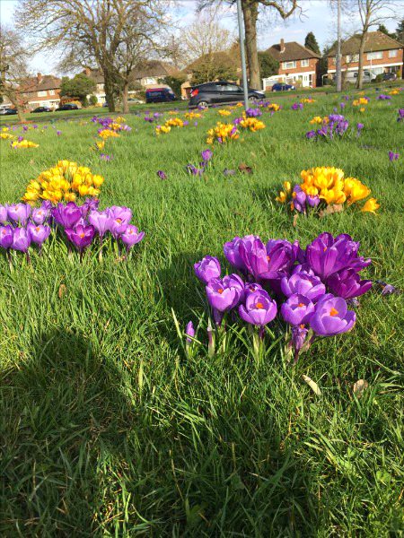 Beautiful Nature image