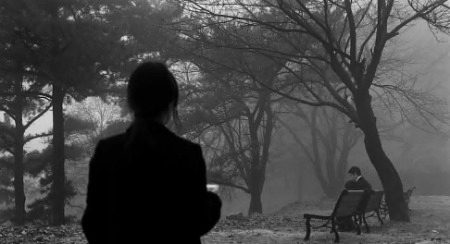 Beautiful Nature image