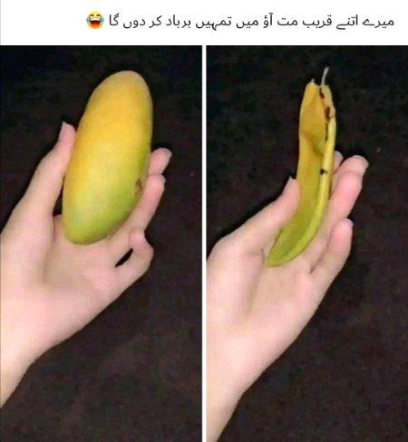 Memes & Satire image