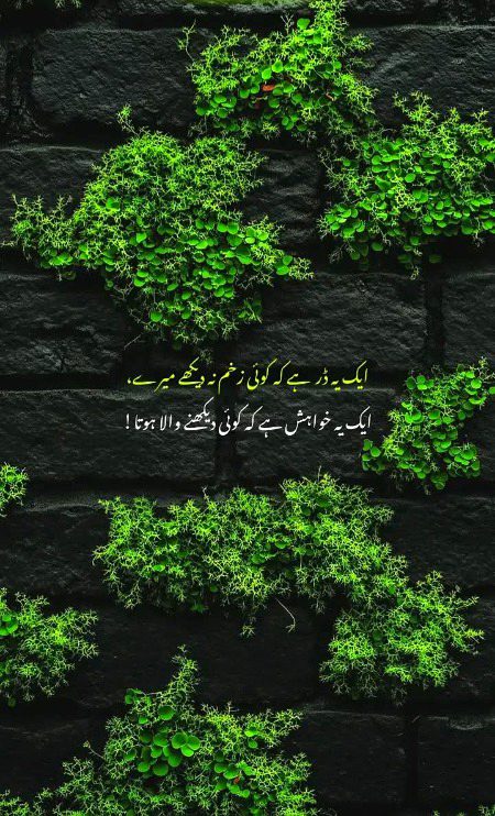 Paka off