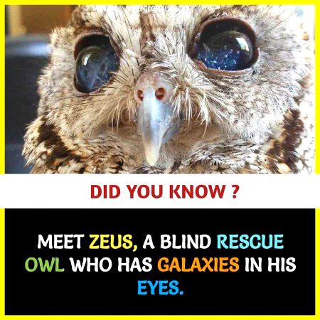 Interesting Posts image