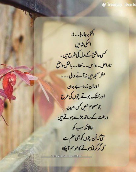 Romantic Poetry image