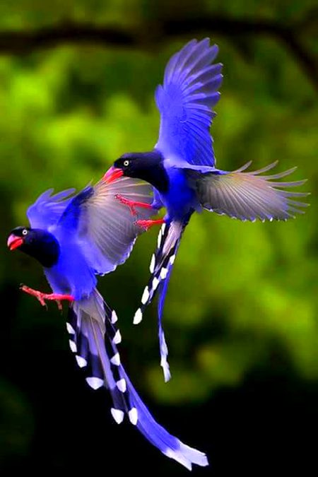 Beautiful Nature image