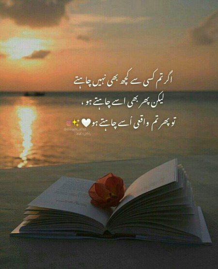 No Captain 🌺🌺🌺