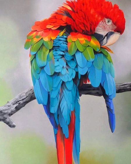 Art...