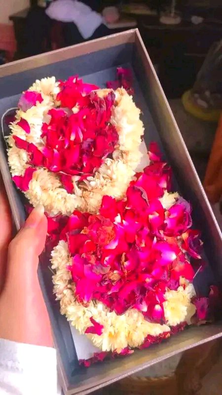 Beautiful Nature image