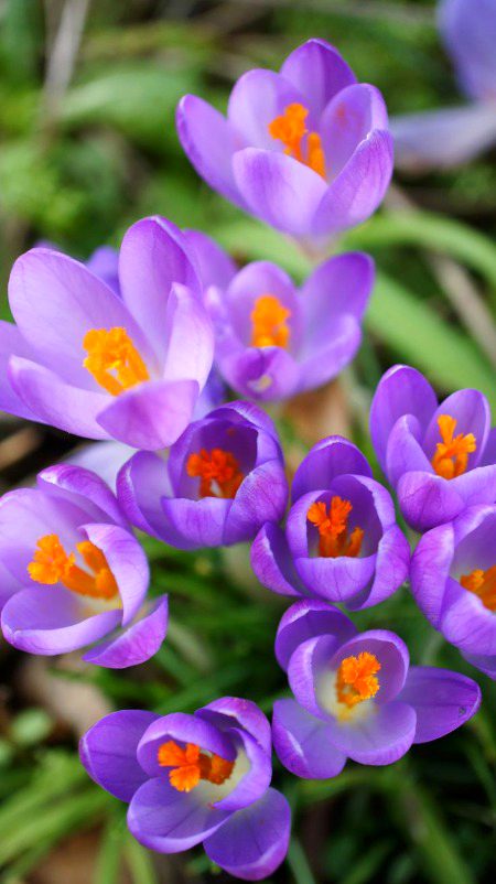 Beautiful Nature image