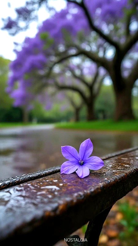 Beautiful Nature image