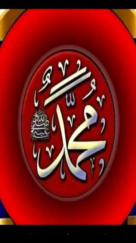 ❤💚❤💚❤💚❤💚