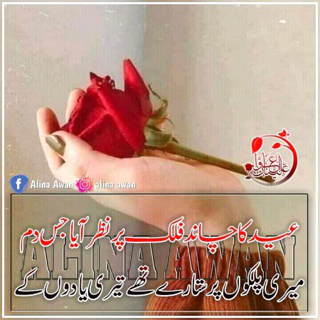 My dear Sonia Khokhar for you