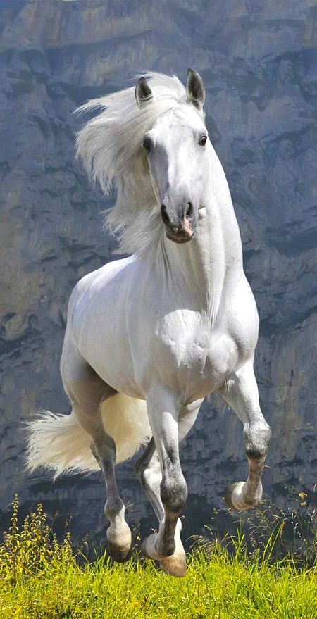 Beautiful Nature image