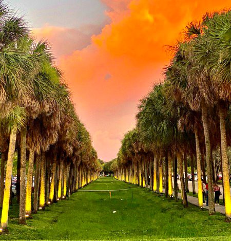 Beautiful Nature image