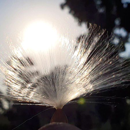 Beautiful nature