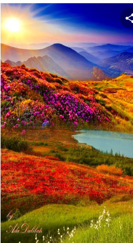 Beautiful Nature image