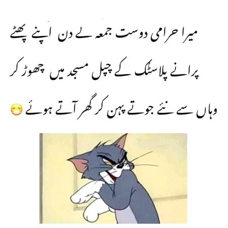 Memes & Satire image