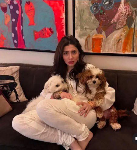 Pakistani Celebs image