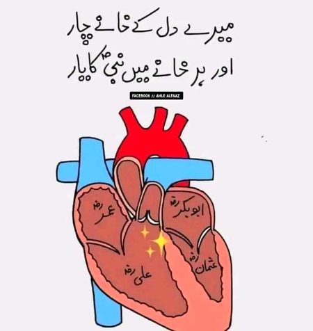 Islamic Quotes image