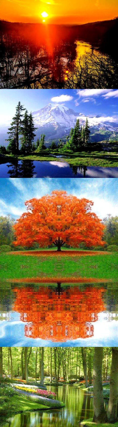 Beautiful Nature image