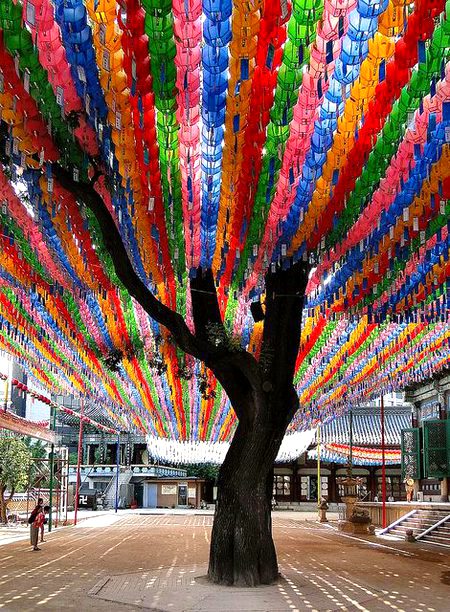 Beautiful Structures image