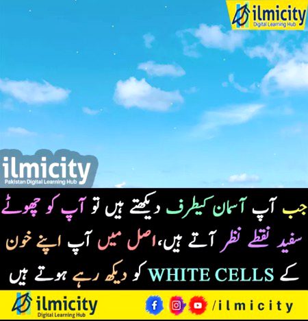 Interesting Posts image