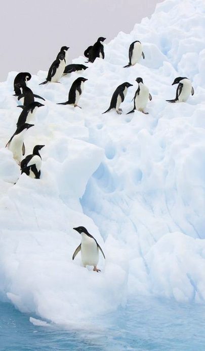 Beautiful Nature image